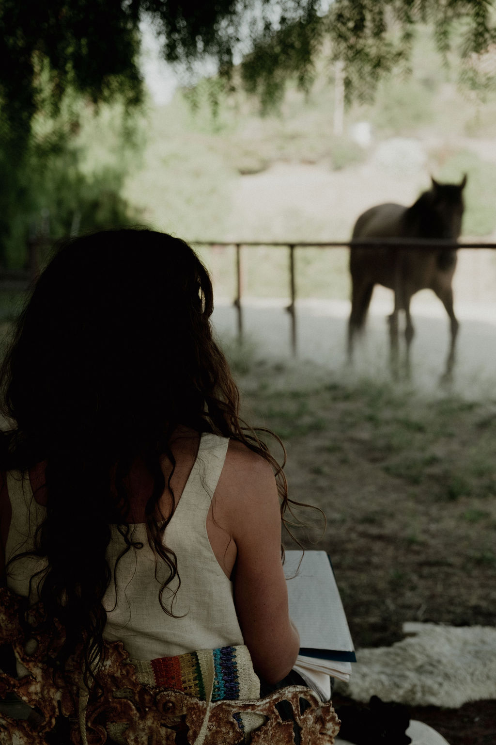 Journaling in the pasture with a horse