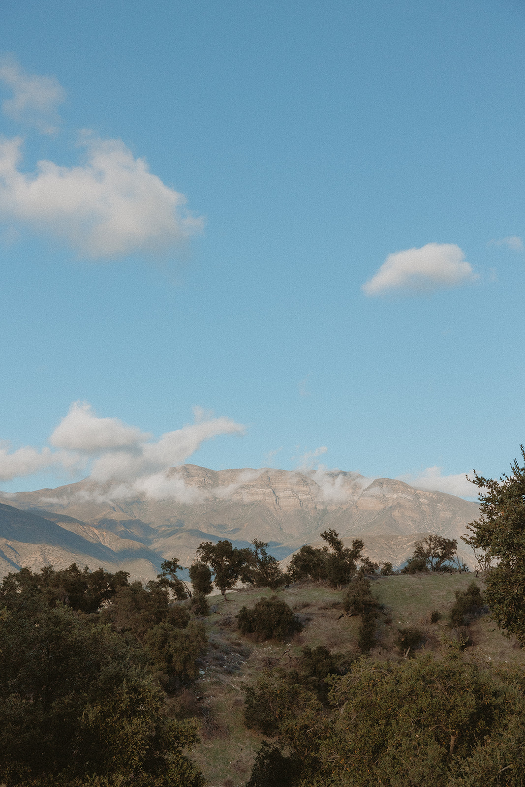 Ojai Mountains