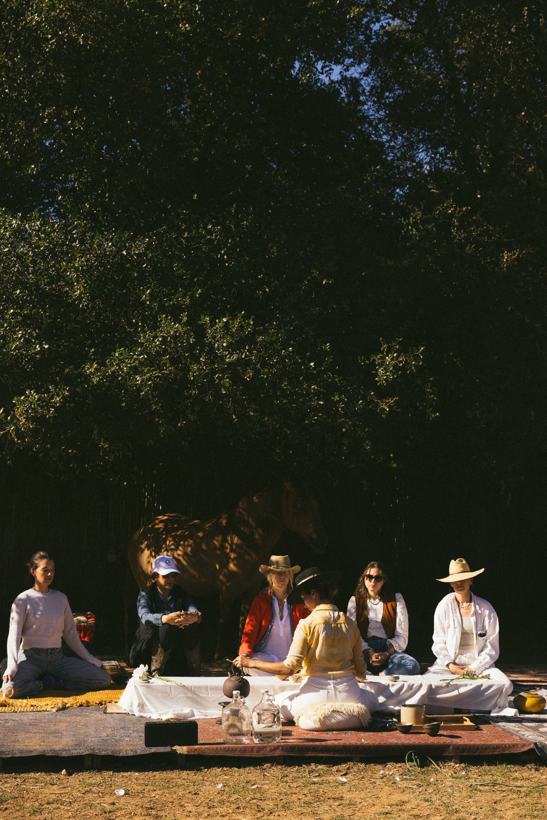 Tea ceremony in the pasture with horses